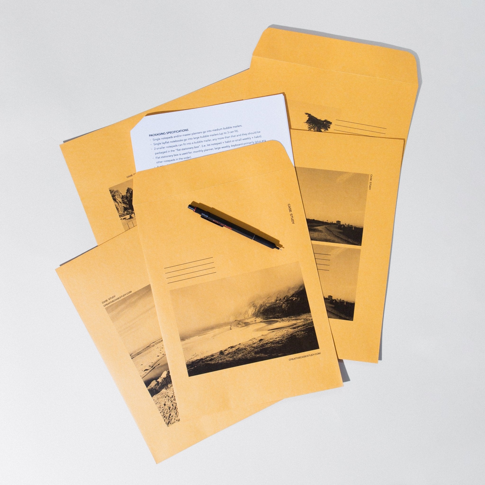 Set of 10 Manila Envelopes - Case Study