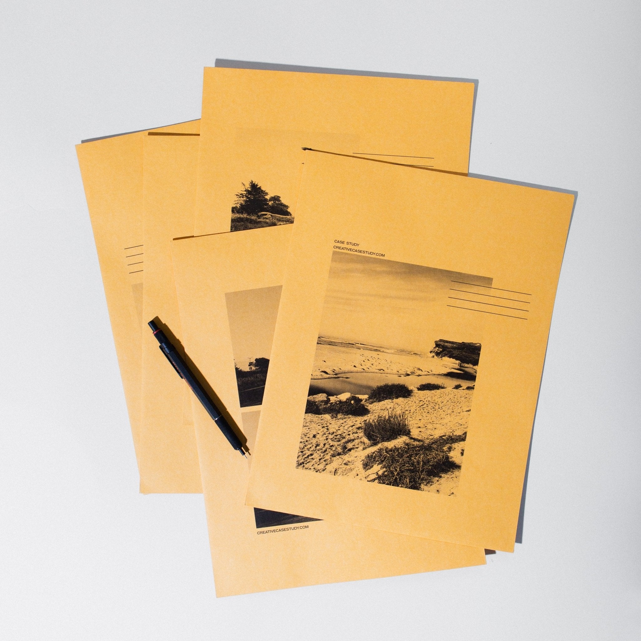 Set of 10 Manila Envelopes - Case Study