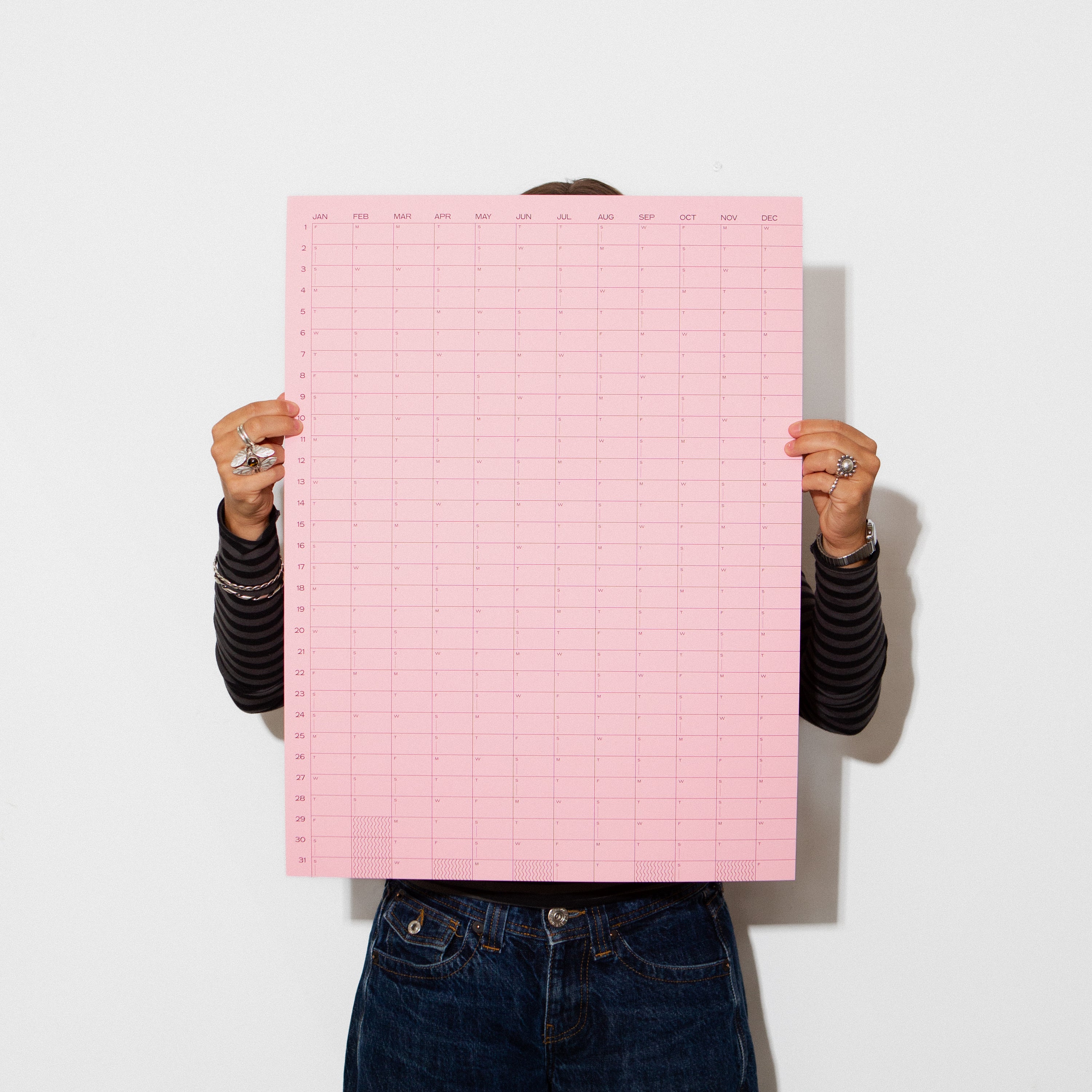 2027 Yearly Wall Calendar | Pink