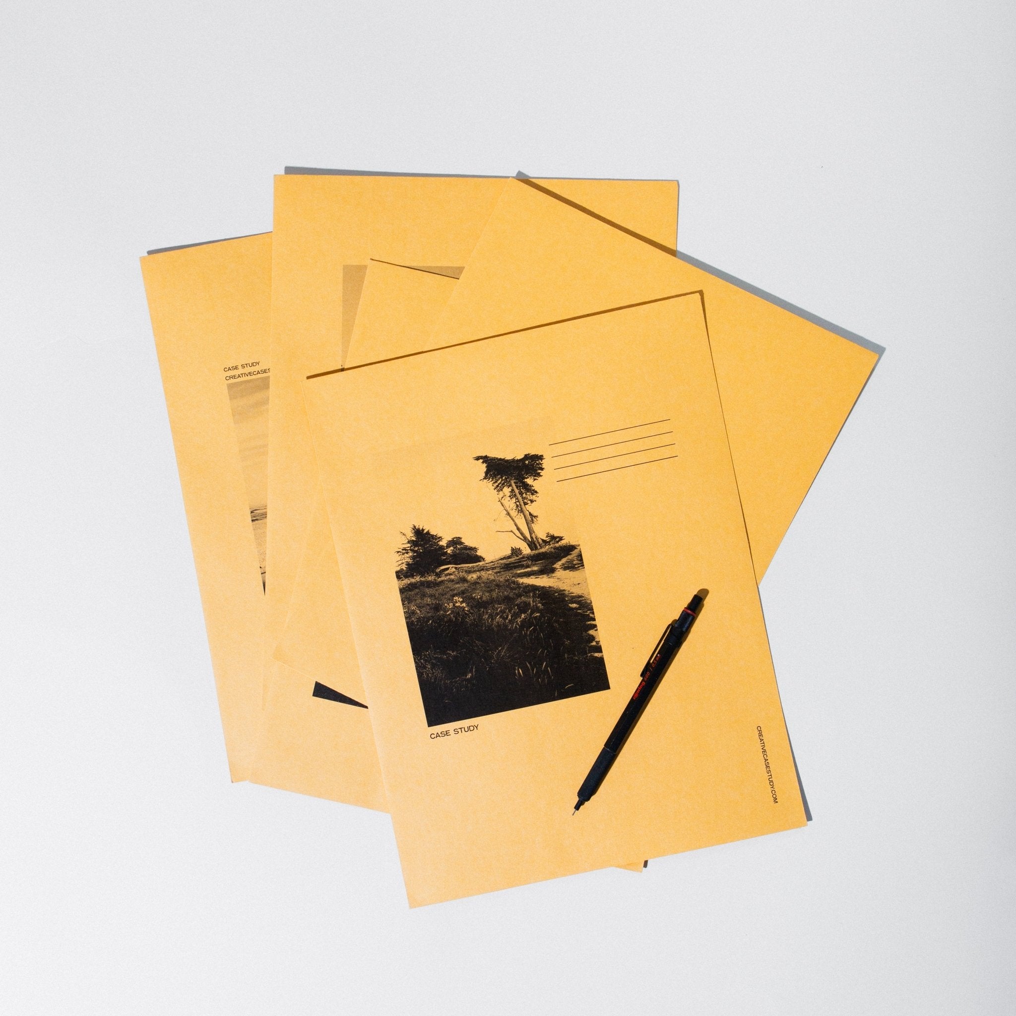 Set of 10 Manila Envelopes - Case Study