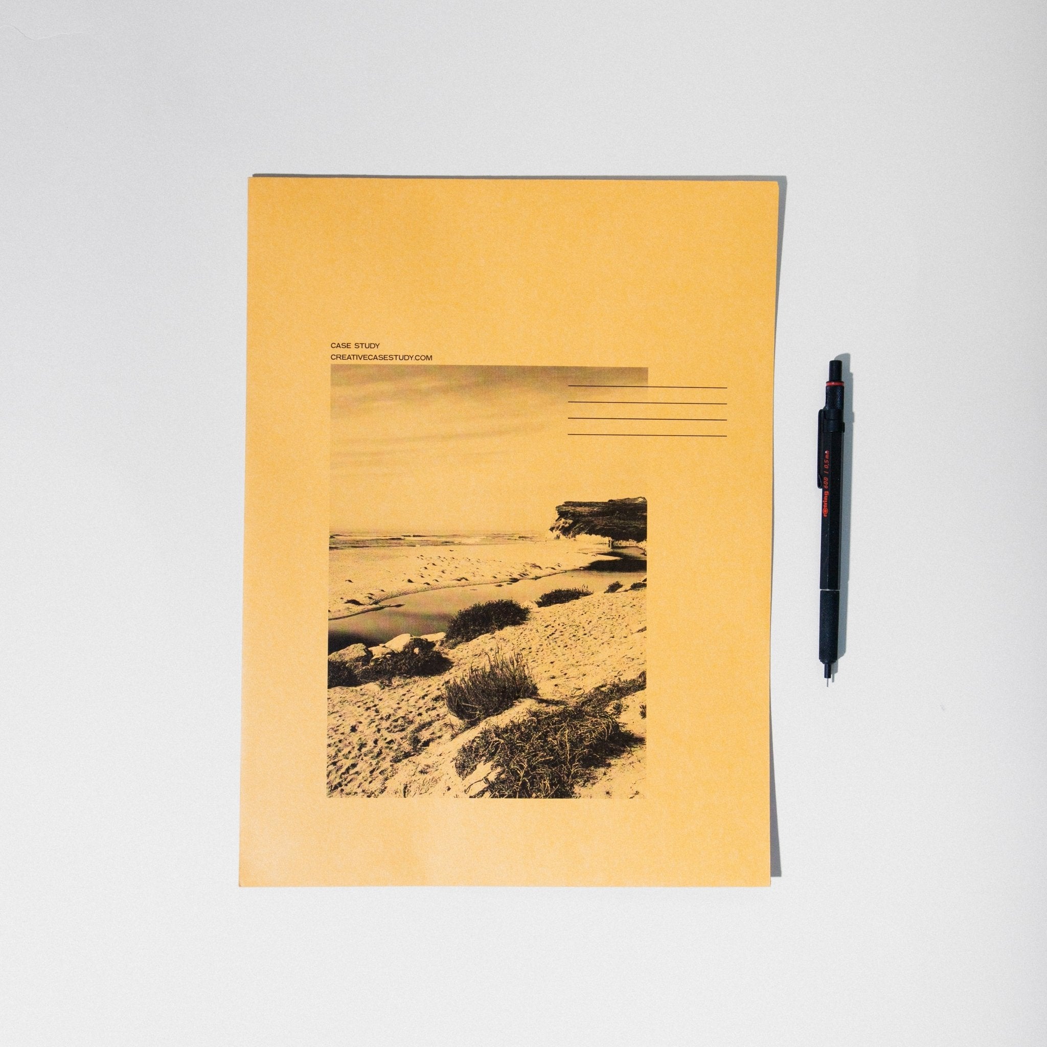 Set of 10 Manila Envelopes - Case Study