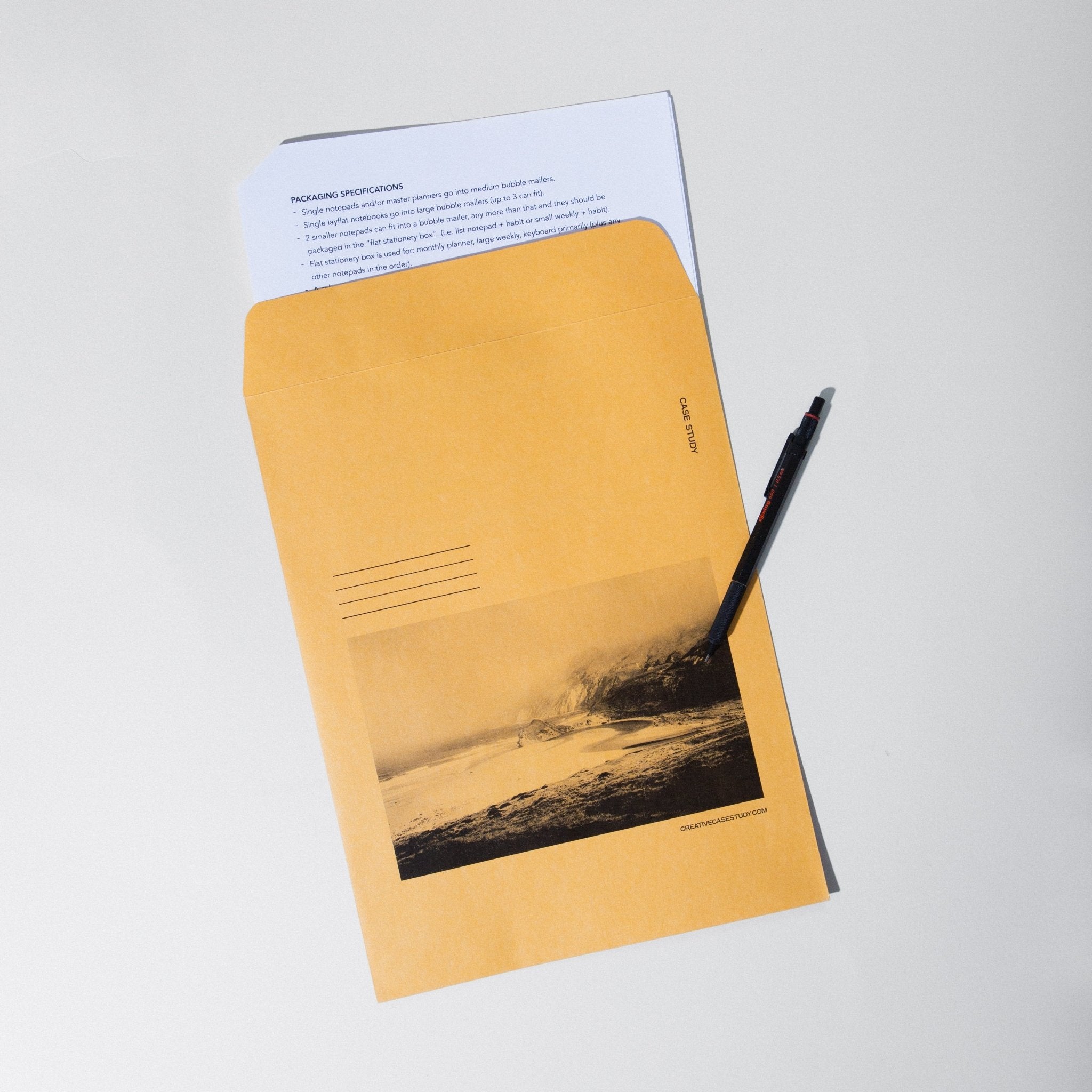 Set of 10 Manila Envelopes - Case Study