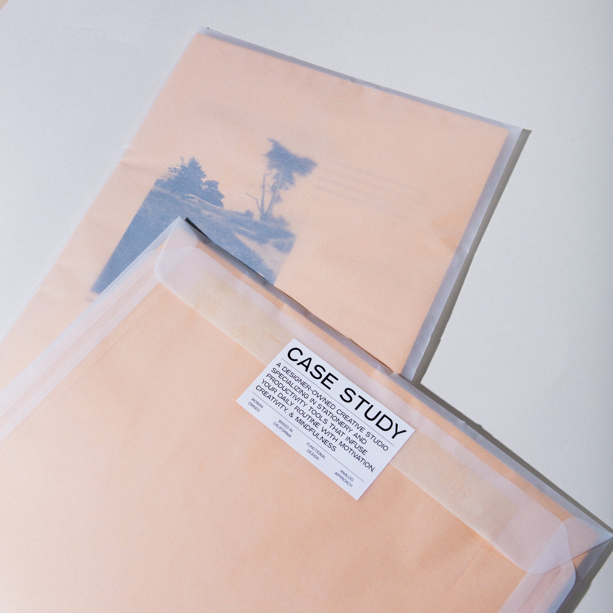 Set of 10 Manila Envelopes - Case Study