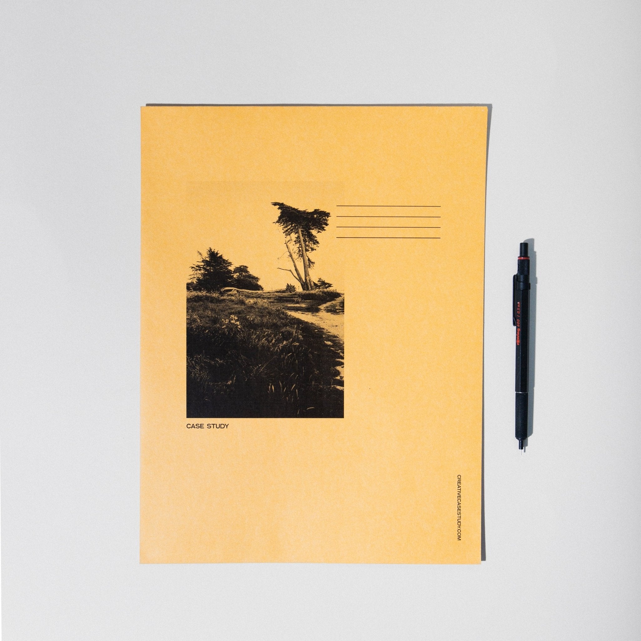 Set of 10 Manila Envelopes - Case Study