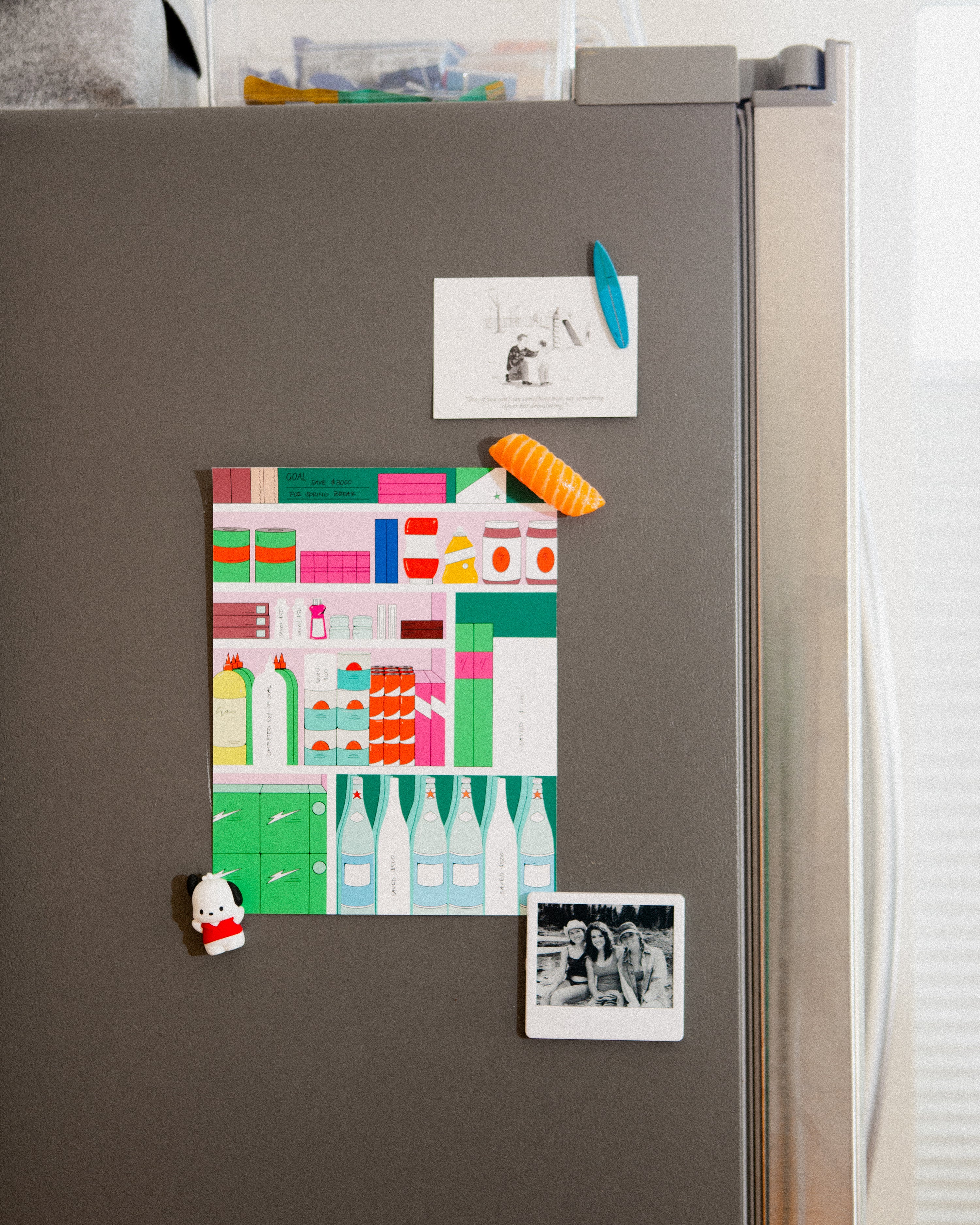 Financial Goal Tracking Kit - Kitchen Pantry