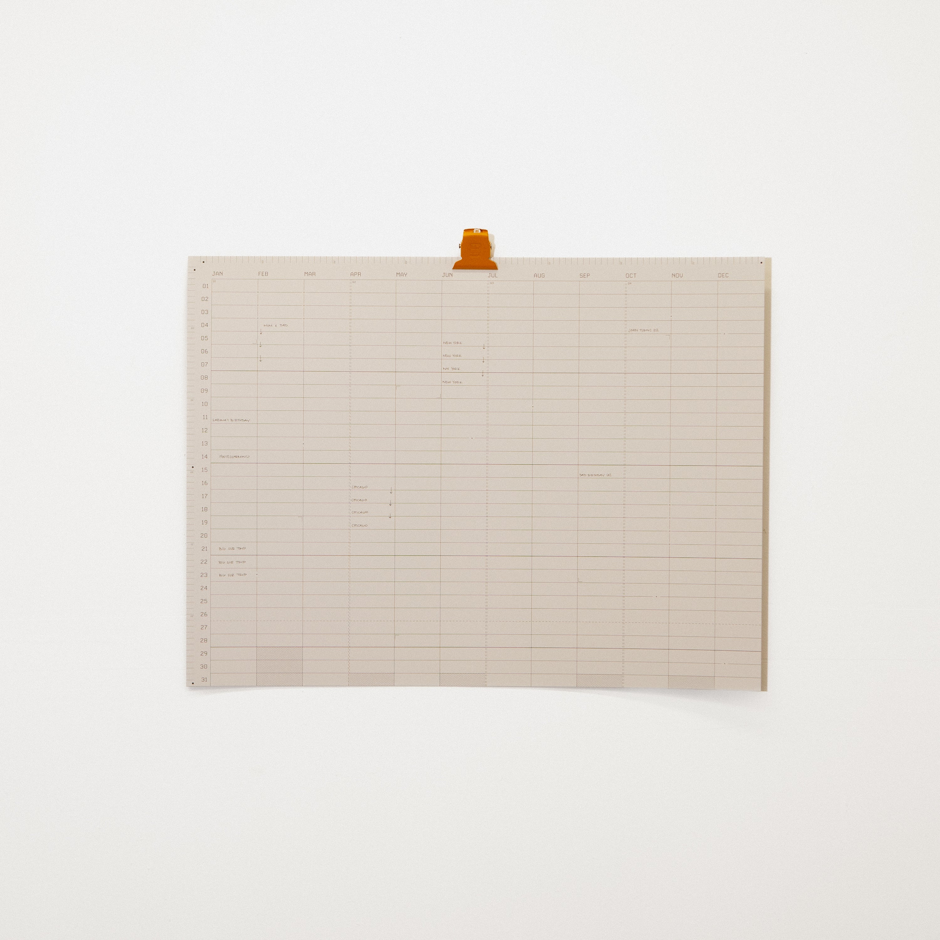 Open Dated 365 Day Wall Calendar | Fog
